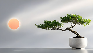 һùª(d)ĘļӰӳr͵պ͠Nĳ