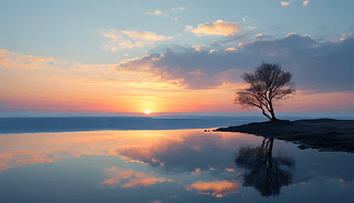 O(jin)L(fng)µȻӰcɫƽ