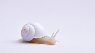 ɫ΁ţ