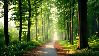 ?k)oɭ峿(yng)➢MGaС·