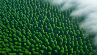 һžG(sh)\ڱFеČ?k)oB(nio)Dչʾˌ?k)o