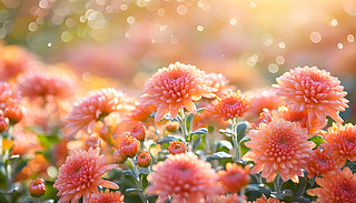 _＾ɾԡڽеͰl(f)ľ