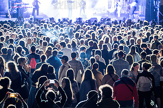 ݵ(ji)˳ӿ(dng)(ji)ͿgȺ