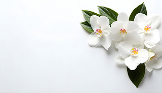 (yu)ŵİɫm@@չʾԭʼİɫ