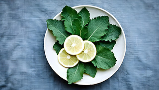 (yu)ŵİɫմɱPcYęƬI