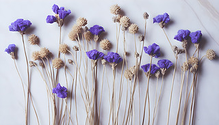 (yu)ŵĸɻڻƿ￿ˬİ׉