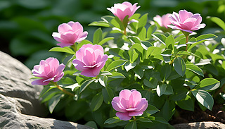 (yu)ŵķۼtõ͵ꖹ(yu)ž`