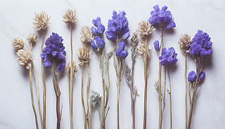 (yu)ŵĵιƿ܇h(hun)@µĻɃİɫ