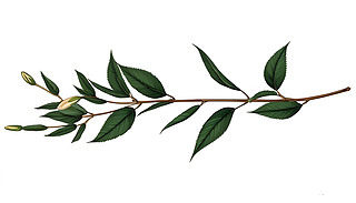 (yu)ŵİٺϻbMľG~ױ