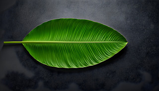 (yu)ŵľGɫPӷ[[~ϱڰ