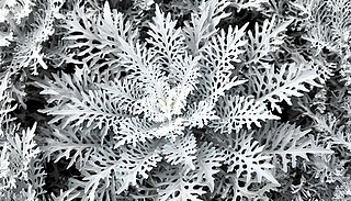 (yu)ŵĻ҉m՘~Ȼ͹@yyɫɫ{