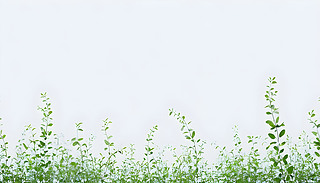 (yu)ŵĘOxh(hun)@cɫչF(xin)ֲĺ