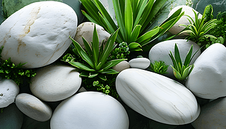 ɫʯ^cGɫֲﱳгԪصҕX_