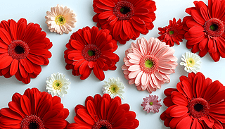 ԭʼɫмtɫ޾յĻc(yu)