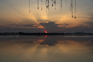ӳrµĽɫϦӳ