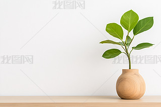 ľƿGֲsoD