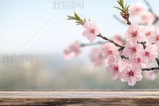 ľϵķһ֦