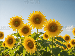 ꖹµտ