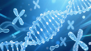 ƼtDNA﹤оD