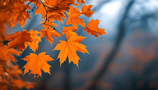 ＾^гɫ~cȻɫʌ(du)