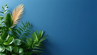 {(ln)ɫcGɫֲȻCcɫʌ(du)