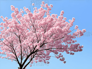 {촺챳ʢ_ķۼtɫѻ