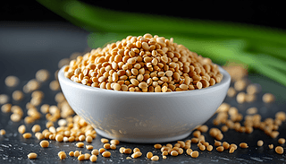 ɫzӰ_(ti)Ͼ²ӂ(c)݆չʾ