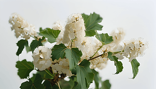 ɫzӰrдӵԭʼΑB(ti)