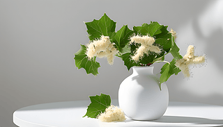 ɫoӰĔzĴӱƤ(x)(ji)