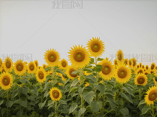 Ұеտ