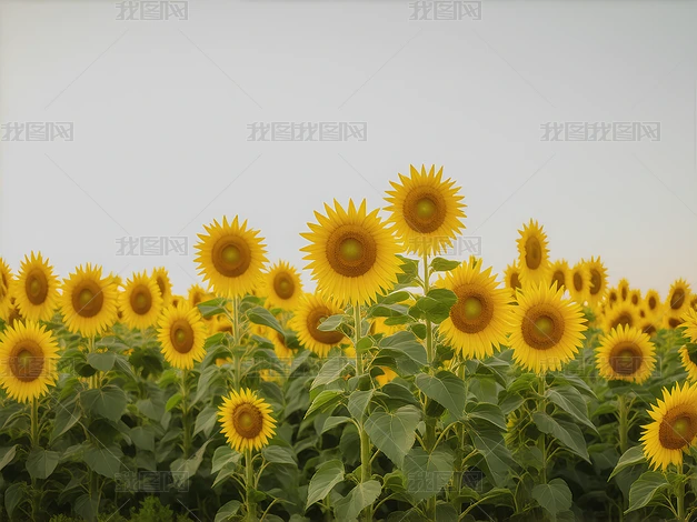Ұտ