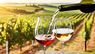 (yu)ŵѾƵ(yng)ĵш@չʾ