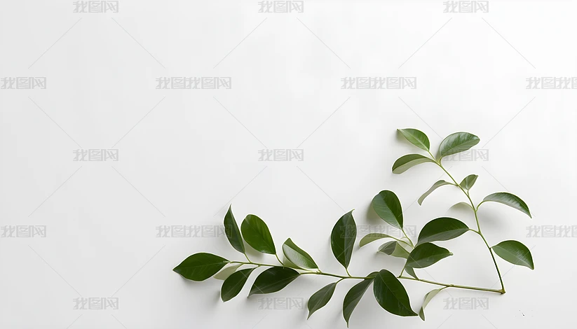 չ_DDƬ