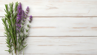 (yu)ŵƽݰ;µĻľ|(zh)Ͼ