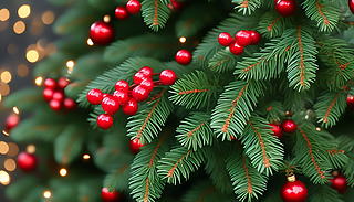 (yu)ŵʥQbƷɢl(f)͵ɢħ