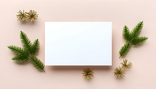 (yu)ŵʥQR(sh)֦bWWl(f)ĽɫС