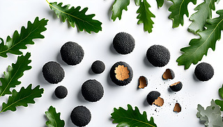 (yu)ŵ¶|(zh)İɫb[[