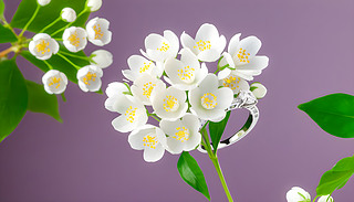 (yu)ŵ@ʯh(hun)ָO(sh)Ӌ(j)@@