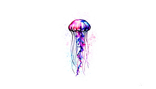꿨DƬ