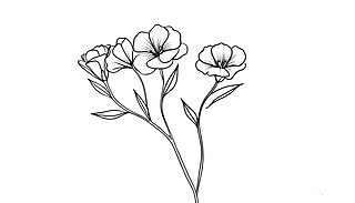 (yu)ŵSڰ׾lˇg(sh)ÏsLֲ