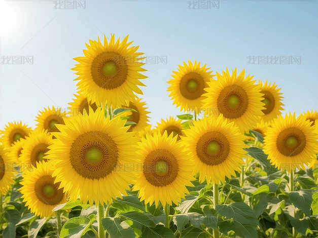 յꖹ