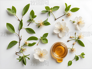 ۺ鲘仨