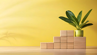 ľKĄ(chung)Q(mo)ϢԳMSɫ