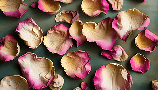 ήõ廨ď(f)ɫ{(dio)