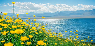 С(ji)⺣߅Ͳ˻SɫΨL