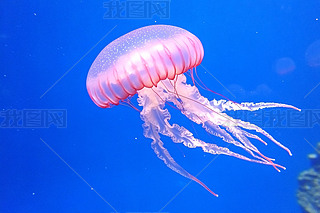΄ӵķɫˮĸ