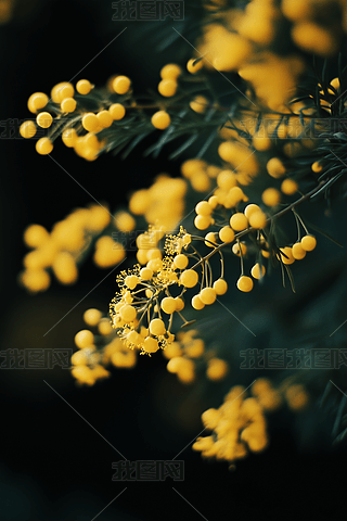 Sɫ߲ݻAI宋(bo)DƬز