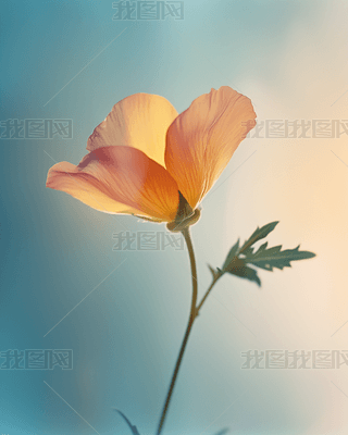 `⾀еľ»AI宋(bo)DƬز