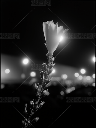 ڰ׻AI宋󱳾DƬز
