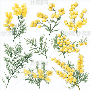 ߲ݻܲDAI宋(bo)DƬز